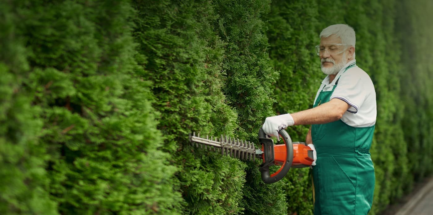 Expert Tree Surgery, Fencing & Garden Care  Trusted - Local
