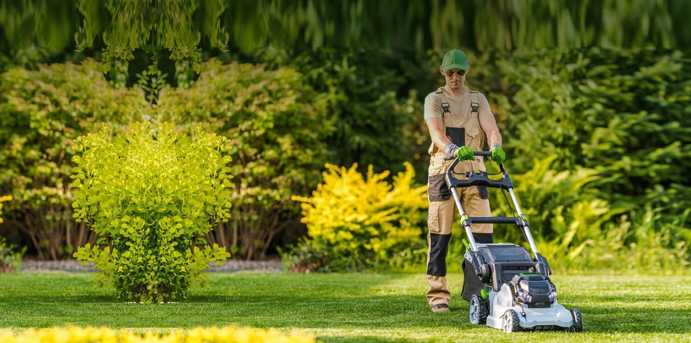 Expert Tree Surgery, Fencing & Garden Care  Trusted - Local