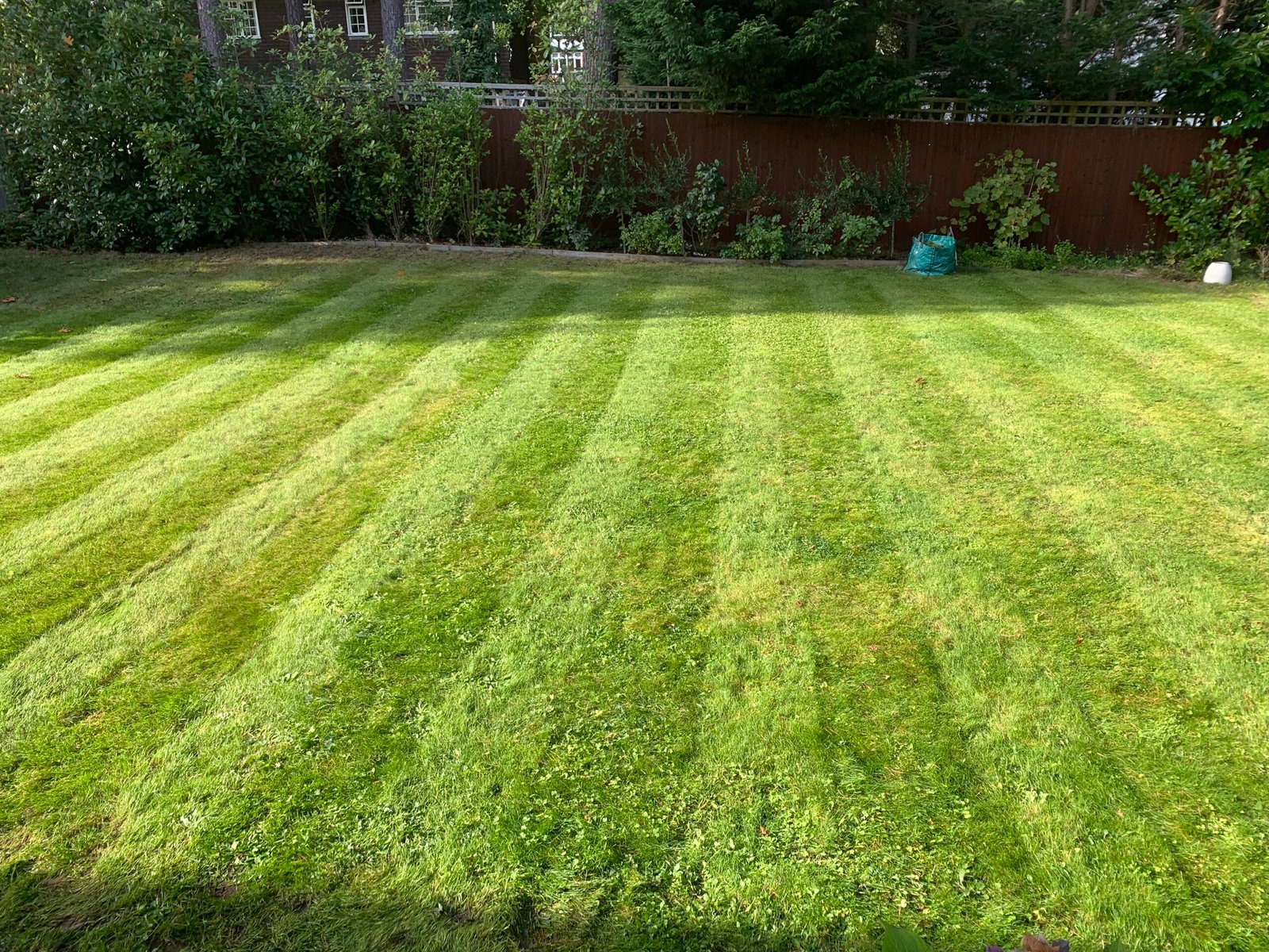 A neatly manicured green lawn with even, short grass blades, freshly mowed and free of weeds, under clear sunlight.